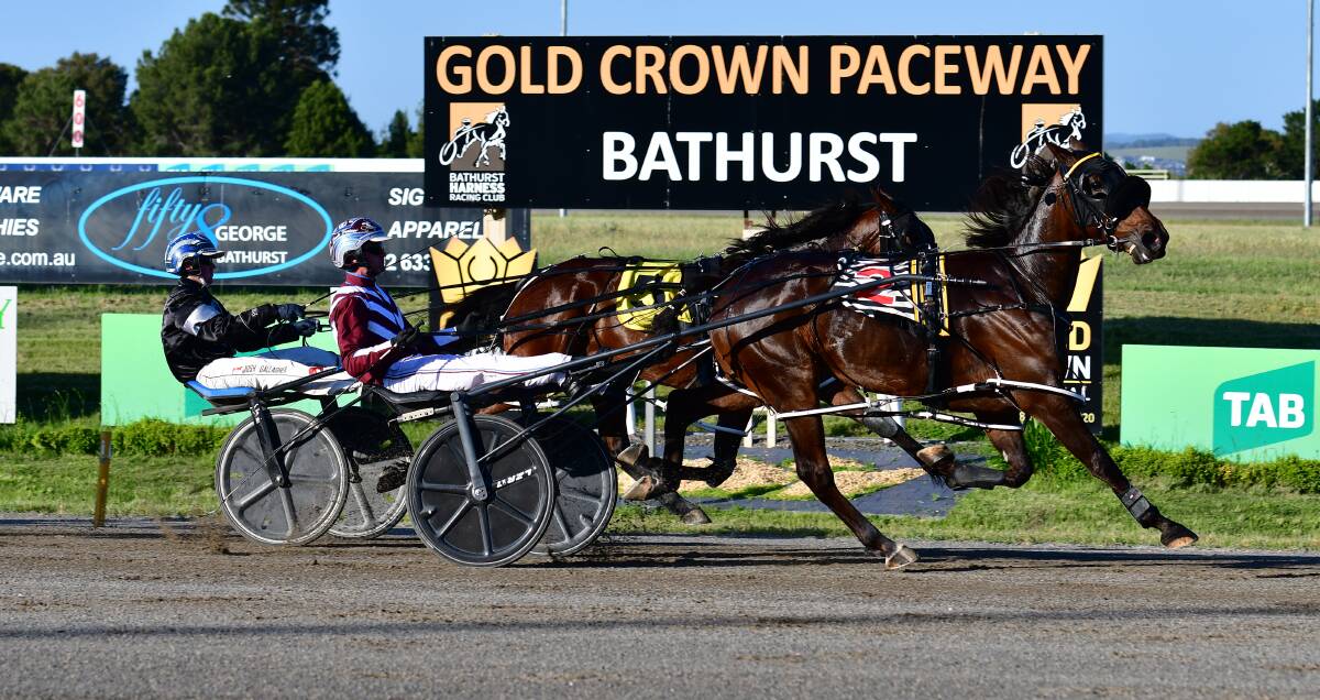 GREAT FINISH: Experia holds out Brooklyns Best in the second event of the night at Bathurst Paceway. Photo: ALEXANDER GRANT