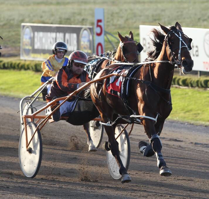BULLET: Machamillion in full flight on the run for home during Wednesday night's Shannon Springs Pace (1730m) at Bathurst Paceway. Photo: PHIL BLATCH 041917pbtrots4