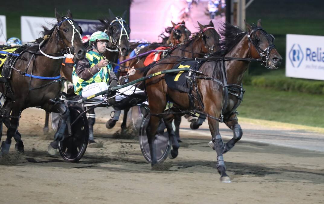 HUGE COUP: The Inter Dominion is coming to Bathurst, bringing elite runners such as Send It (pictured) to the city. Photo: PHIL BLATCH