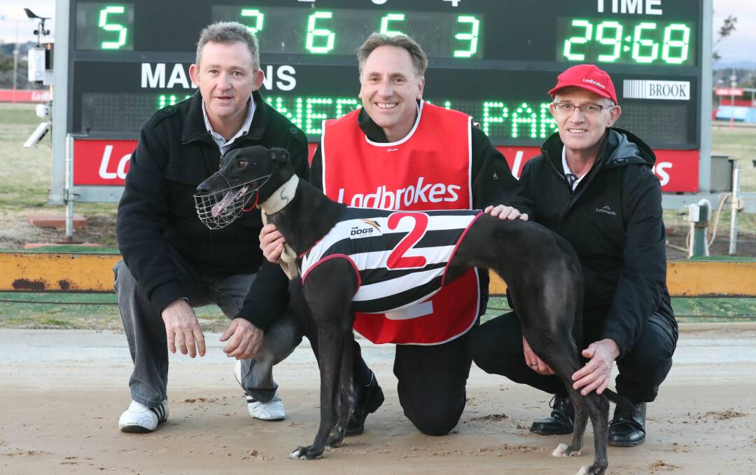 GREAT START: Owners Rodney Yendle and Michael Phillips with trainer George Borg along with heat winner Miss Splendamiro. Photo: PHIL BLATCH
