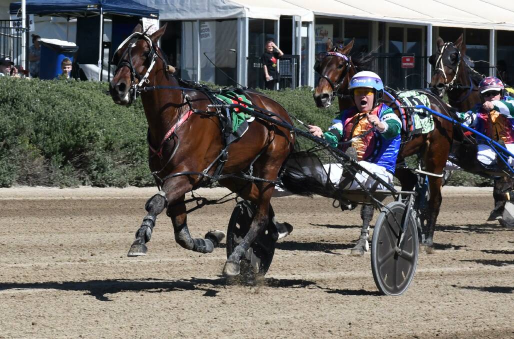 ROCK ON: Ziggy Rocks, pictured winning October's J.C. Caffyn Indigenous Drivers Plate Final, took out Young's Cherry Festival Cup on Friday.