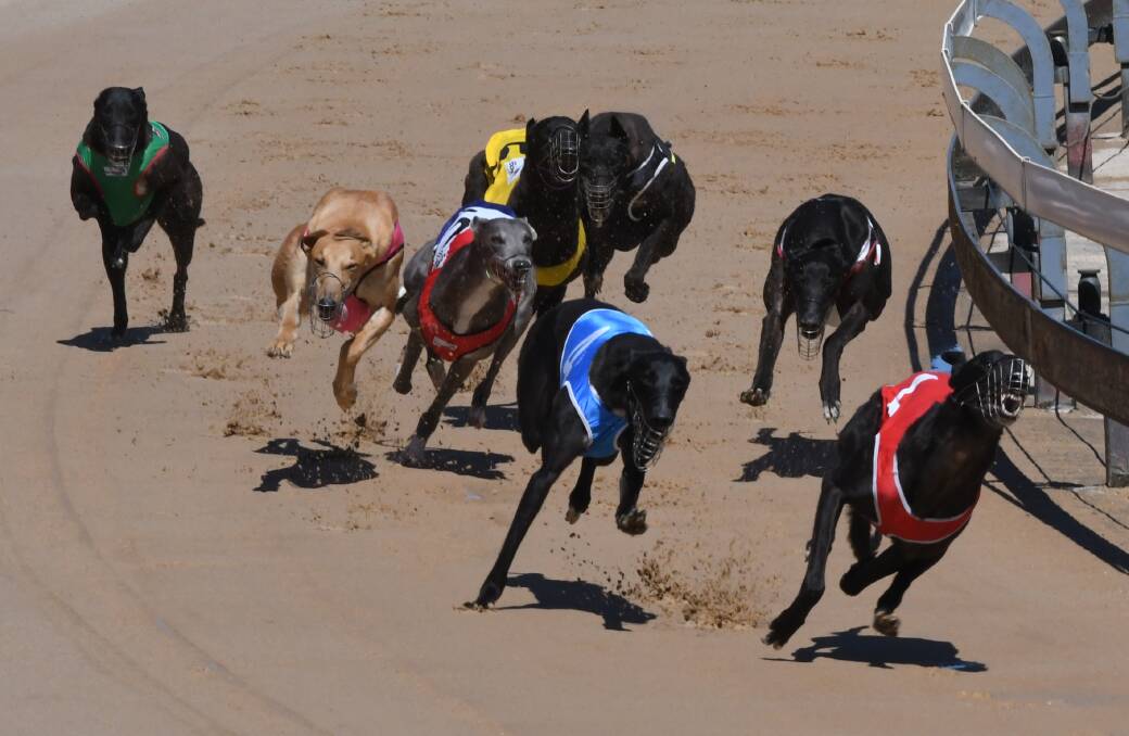 HERE I COME: Elvis In Motion (red) leads the field into the turn but Furious Not Fast (blue) begins her winning move around the outside. Photo: CHRIS SEABROOK