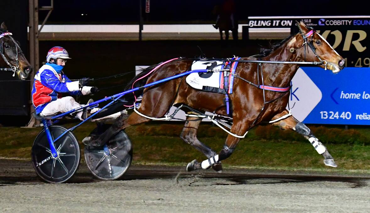 CAN'T BE CAUGHT: Hold My Halo holds on for victory in Wednesday night's Bathurst Paceway meeting. Photo: ALEXANDER GRANT