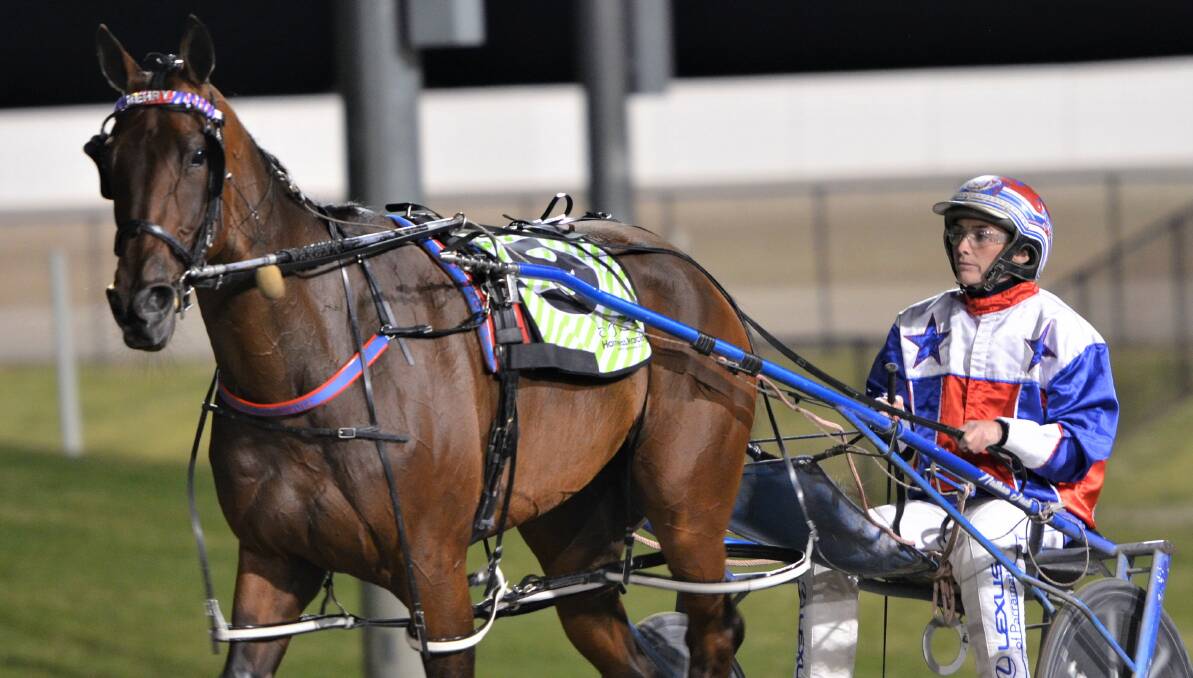 SUPERB: Ellmers Image, pictured after his Smooth Satin Cup win, has been in outstanding form of late for Amanda Turnbull. Photo: ANYA WHITELAW