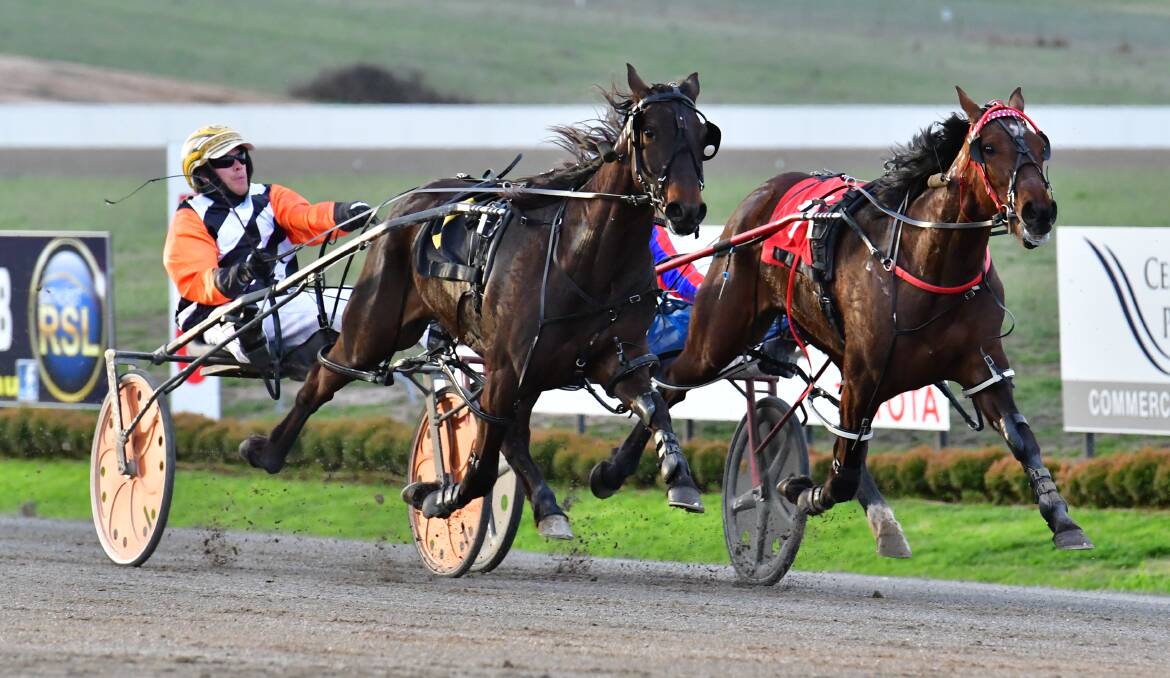 TWO HORSE FINISH: Hot Flush (left) and Lets Pop The Bubbles fought out the finish in the Get Well Soon Jan Kelly Ladyship Pace (1730 metres). Photo: ALEXANDER GRANT