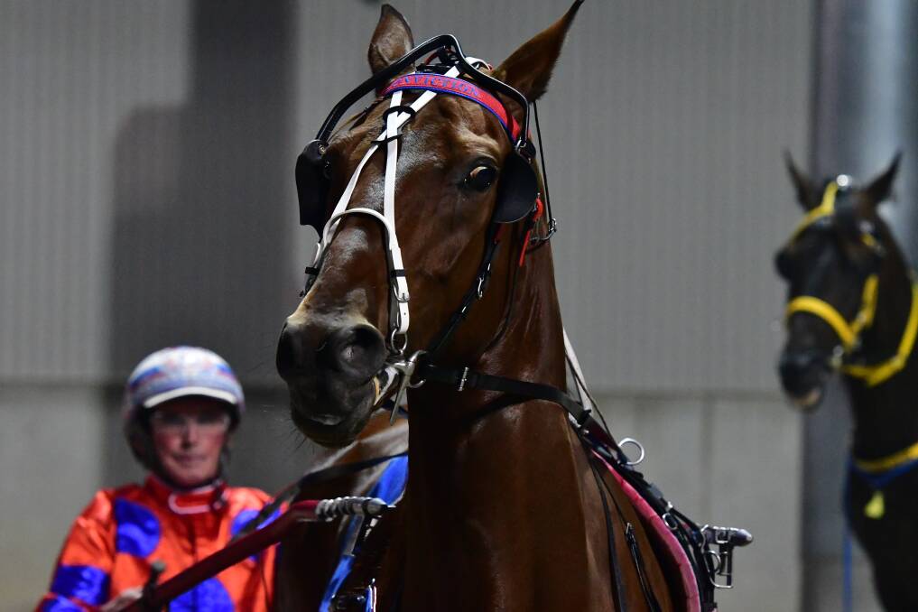 POSTPONED: Conviction was part of last year's Inter Dominion Pacing Championship but won't have the chance to return in 2020. Photo: ALEXANDER GRANT