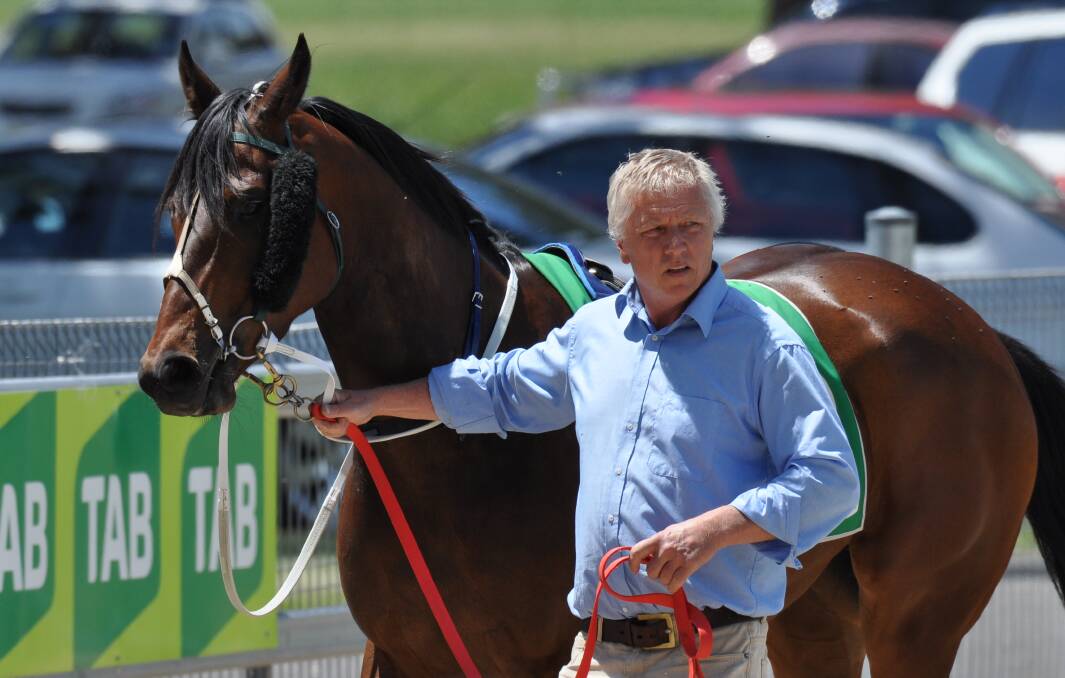 FULL FORCE: Dean Mirfin took on last year's Country Championships qualifier with four horses, including the pictured Worldly Pleasure, and has nominated five runners for the 2020 race.