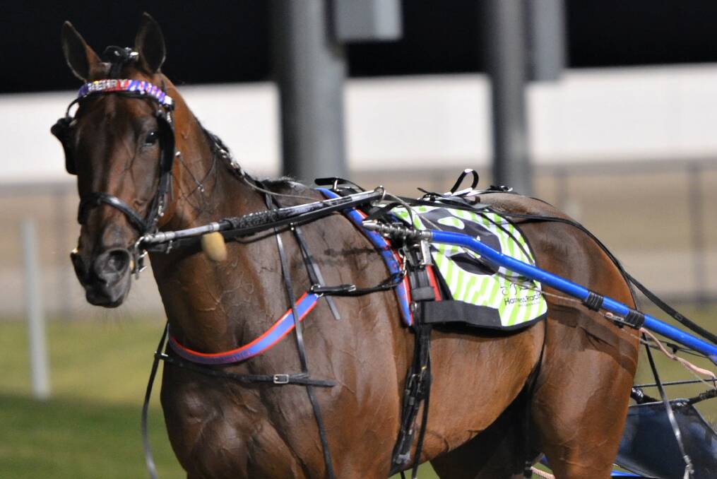 BIG EFFORT: Ellmers Image was one of the stronger Bathurst performers on Saturday. Photo: ANYA WHITELAW