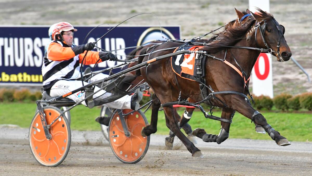 HOT WIN: With race favourite Colby taken out of the picture Hot Flush (pictured) raced away to victory. Photo: ALEXANDER GRANT