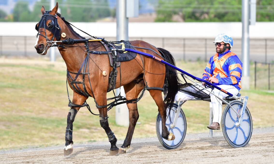 SURPRISE SECOND: Wade Judd's Blaze Edition started the race at $151 odds but came home runner-up. Photo: ALEXANDER GRANT