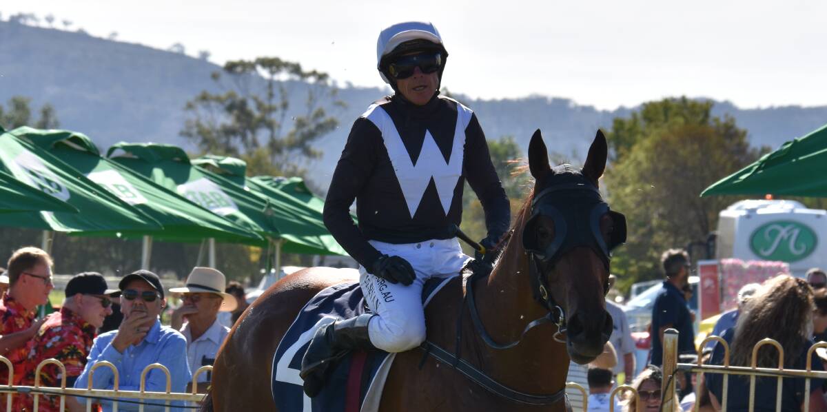 RANDWICK BOUND: Healing Hands will contest another Country Championships Final after gaining entry into the race on Wednesday. The CDRA qualifier third place finisher earned the place with Old Harbour's scratching. Photo: JAY-ANNA MOBBS