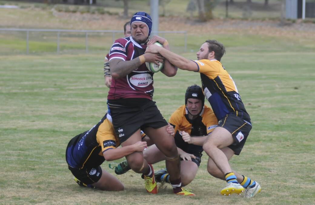 BIGGEST TEST YET: CSU are aiming to cause a huge upset this Saturday when they take on the Orange Emus. Photo: CHRIS SEABROOK