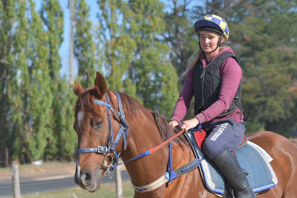 READY: Candice Duddek takes Paul Theobald's Soldier's Saddle contender, Tiger's Story, out for trackwork. Photo: ALEXANDER GRANT