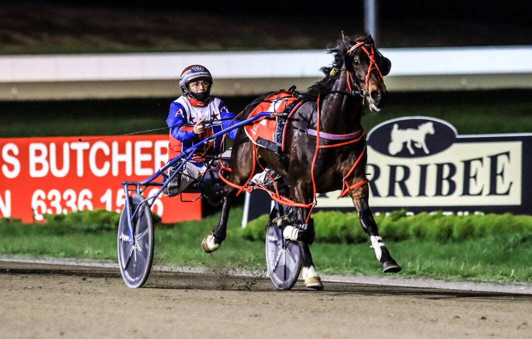 HE'S GOT SPEED: Saint Veran stays clear of the field to win the first of Wednesday night's heats. Photo: COFFEE PHOTOGRAPHY