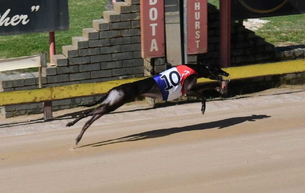 FULL STRETCH: Mulberry Meg crosses the winning post to record a comfortable victory in Monday's maiden at Kennerson Park for trainer Ian Bonham. Photo: CHRIS SEABROOK