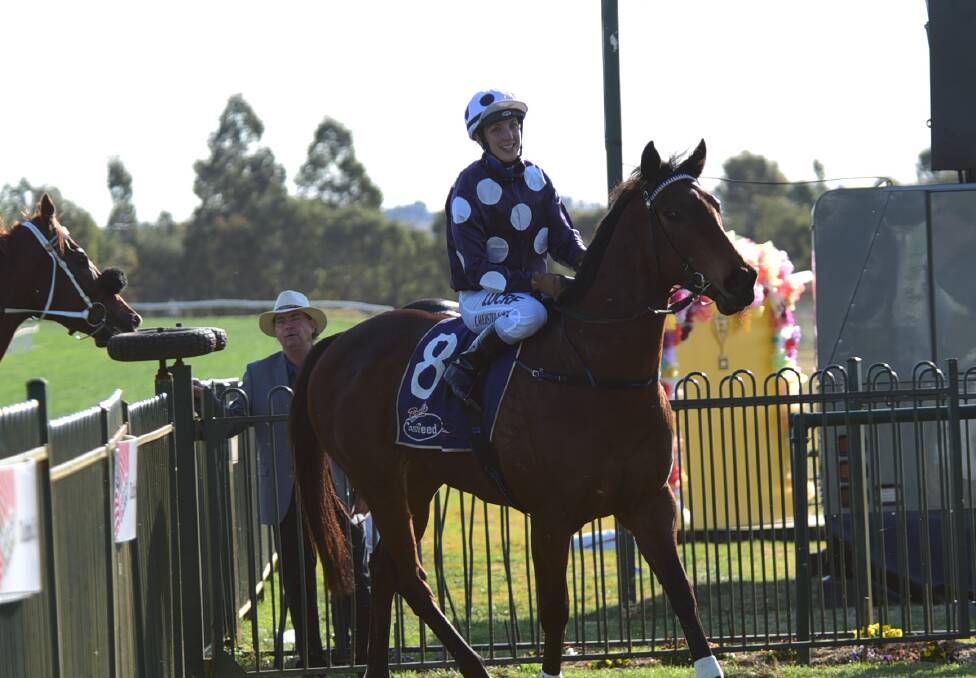 TOWAC PARK TEST: Don and Andrew Ryan's mare Somebody returns to the track this Friday at Orange.