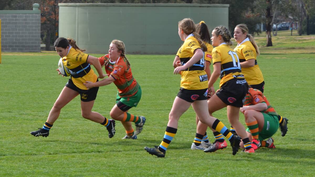 YET TO LOSE: CSU are looking to keep their unbeaten North Cup run going. Photo: ANYA WHITELAW