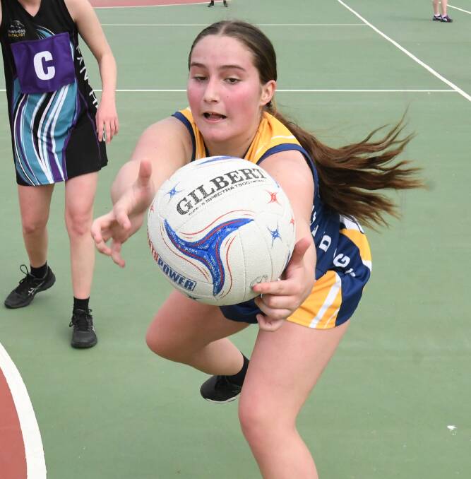 KEEPING POSSESSION: Molly Dowling reaches out for the ball during a Bulldogs Verdelho game earlier this season.. Photo: CHRIS SEABROOK