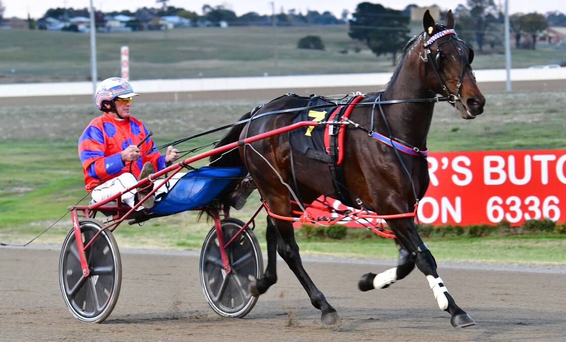 PLACING: Steve Turnbull and Smooth Baht were third in Monday's Group 2 Simpson Memorial at Menangle. Photo: ALEXANDER GRANT