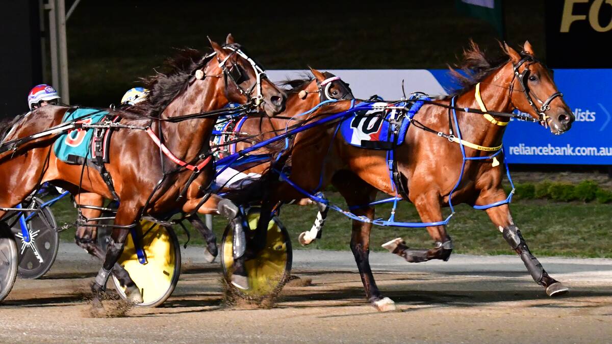 STAR MARE: Chris Frisby's Major Occasion (right, pictured during a previous win at Bathurst) came across Group 2 glory at Menangle.