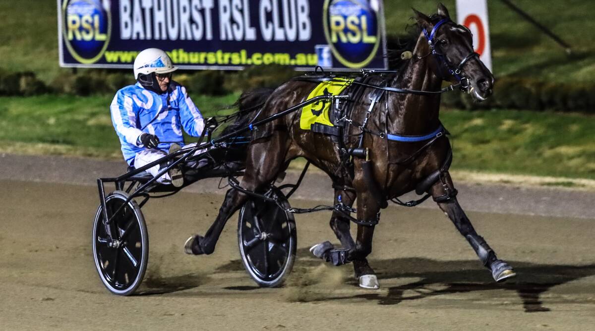 WHAT A WIN: Williewa Lightning flies home to victory and delivers driving win number 400 for Greg Rue. Photo: COFFEE PHOTOGRAPHY