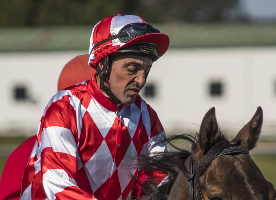 RUNNER-UP: Tony Cavallo had to settle for second place in Saturday's feature Coradgery Cup in Parkes on Saturday. Photo: ALEXANDER GRANT