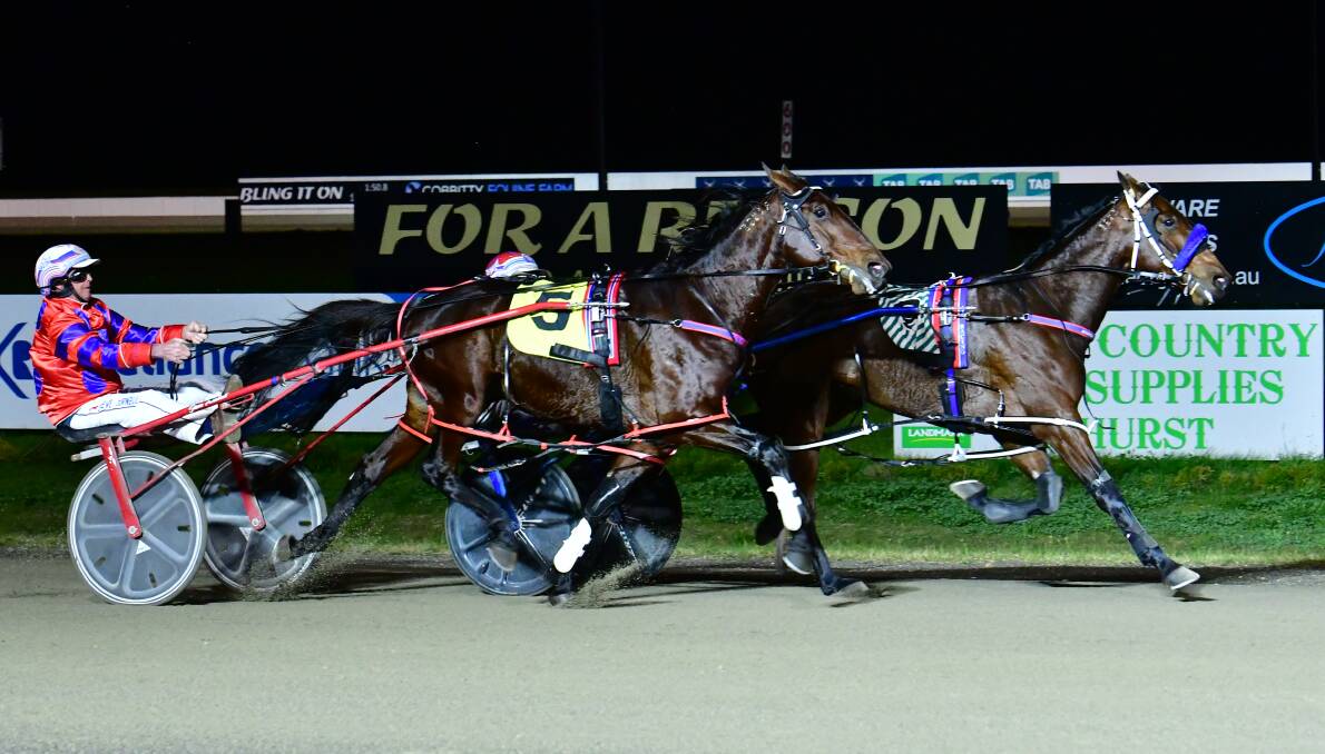 HERE I AM: Animal (right) races down the inside of Firestorm Red to win his TAB Western Regional Championships Heat. Photo: ALEXANDER GRANT
