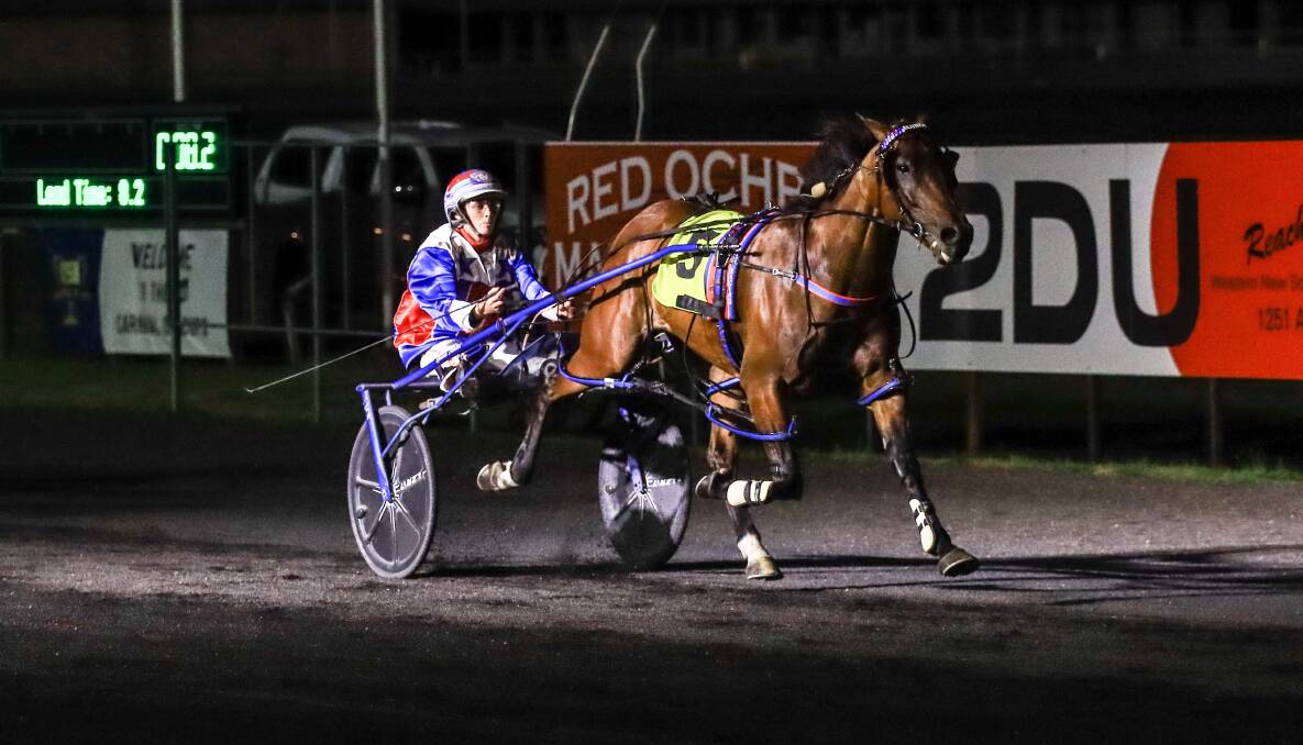 ON THE WAY: Amanda Turnbull drove Shoobee Doo to an impressive win in the Stayers Cup. Photo: COFFEE PHOTOGRAPHY