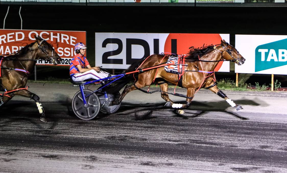 ON THE WAY: Mitch Turnbull drove Ring The Till to a strong win at Dubbo on Sunday night. Photo: COFFEE PHOTOGRAPHY