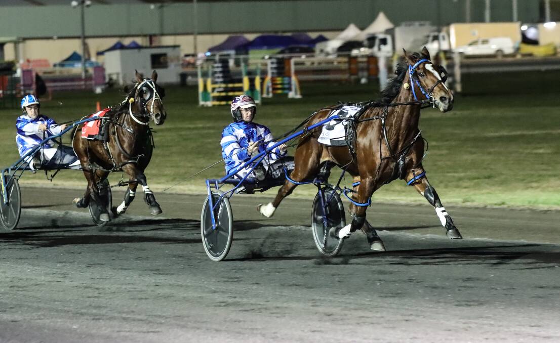 ON THE WAY: Oh One Job showcased her potential again on Friday night when winning the Dubbo Show Series Final. Photo: COFFEE PHOTOGRAPHY
