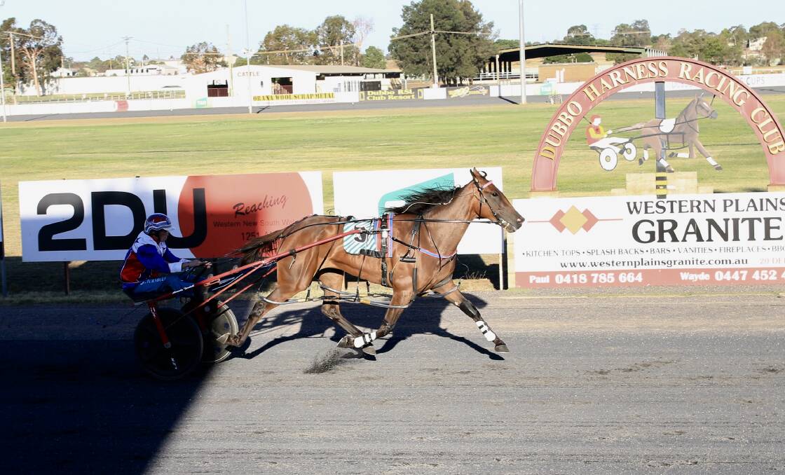 GETTING IT DONE: Amanda Turnbull drove the promising but slightly overzealous Tact Bess to a strong victory at Dubbo on Wednesday night. Photo: COFFEE PHOTOGRAPHY