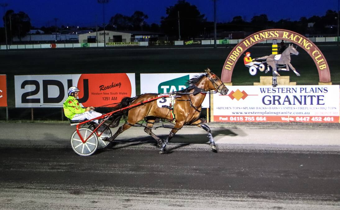 TOO GOOD: John O'Shea drove Alta Downs in the first of two Little Red Jug heats on Sunday night. Photo: COFFEE PHOTOGRAPHY
