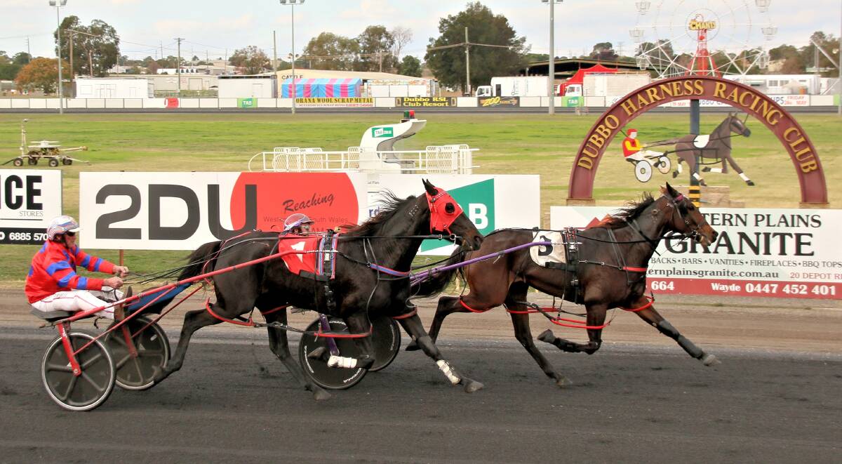 VICTORY: Jason Hewitt (obscured) and Scarlet Babe hold off the fast finishing Bid For Red on Sunday. Photo: COFFEE PHOTOGRAPHY