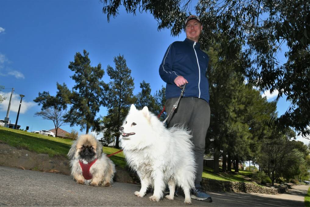 OUT FOR A WALK: Brent McCoy exercising with his pets, Takashi and Comet, in Bicentennial Park. Photo: CHRIS SEABROOK 100521cpets3