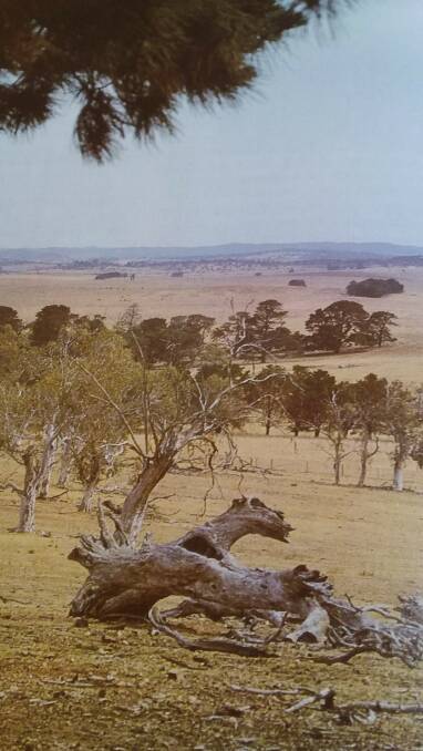 DRY TIMES: This parched landscape is north of Goulburn looking across Pejar Dam towards Bathurst.
