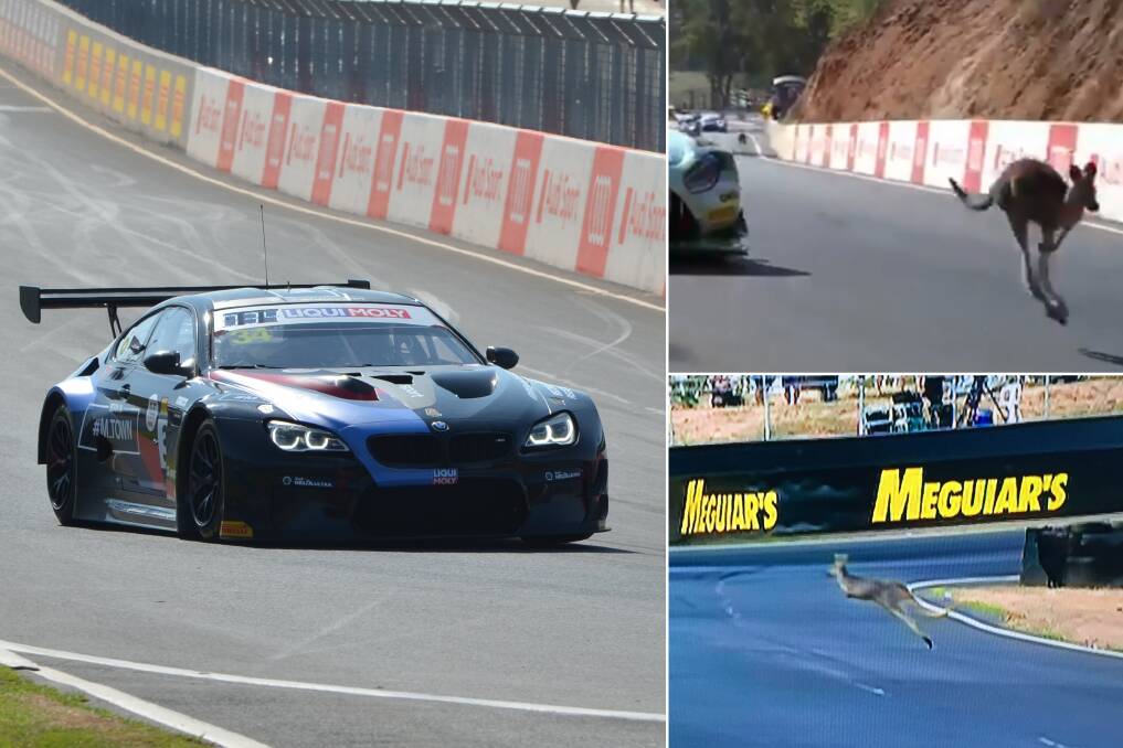 HAZARDOUS: Kangaroos were spotted multiple times during the Bathurst 12 Hour race meeting, with the #34 BMW (pictured) colliding with one during the race itself. 