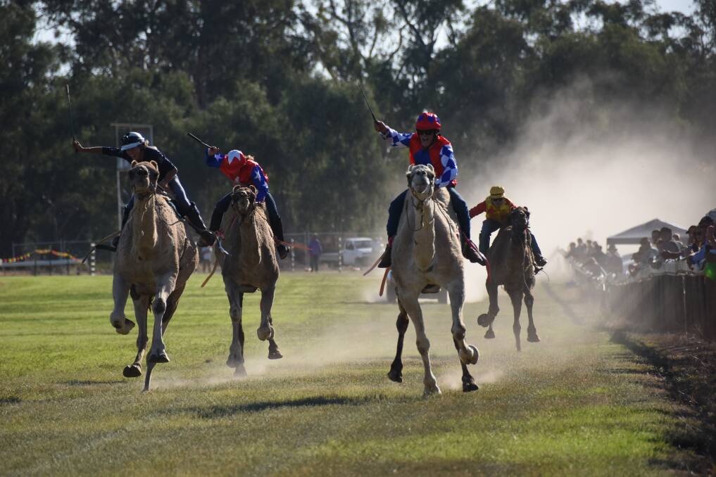 HUMP DAYS: Camel races have become an Easter tradition in Forbes in recent years. Bathurst will get a taste this weekend.