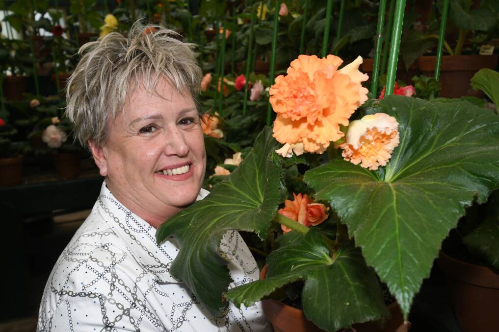 LOVELY: Councillor Jacqui Rudge shows off the flowers in Begonia House, which is now open to the public. Photo: CHRIS SEABROOK 021720cbegonias