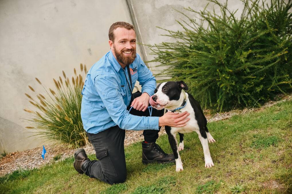 Zach Hanman with Harry, Bathurst Animal Rehoming Centre's longest resident, who has been there for more than 280 days. Picture by James Arrow