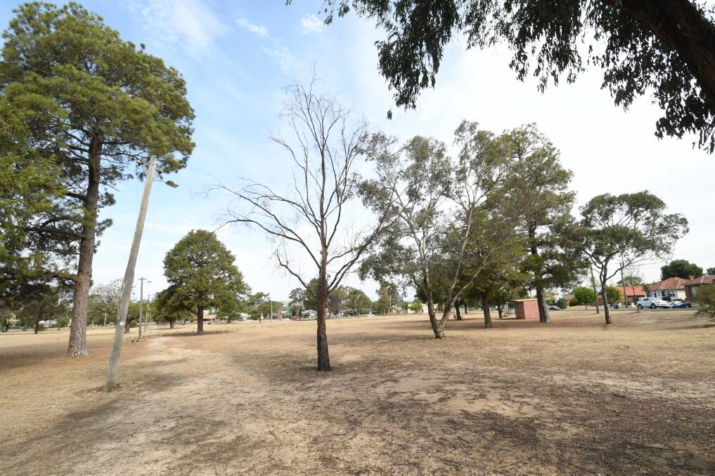 BLANK CANVAS: Bathurst Regional Council has a landscape design for Centennial Park, now it just needs the money to pay for works. Photo: CHRIS SEABROOK