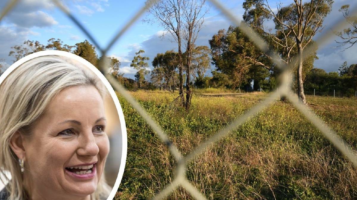 RULING: Environment Minister Sussan Ley has made a decision on a Section 10 application made for a site on top of Mount Panorama.