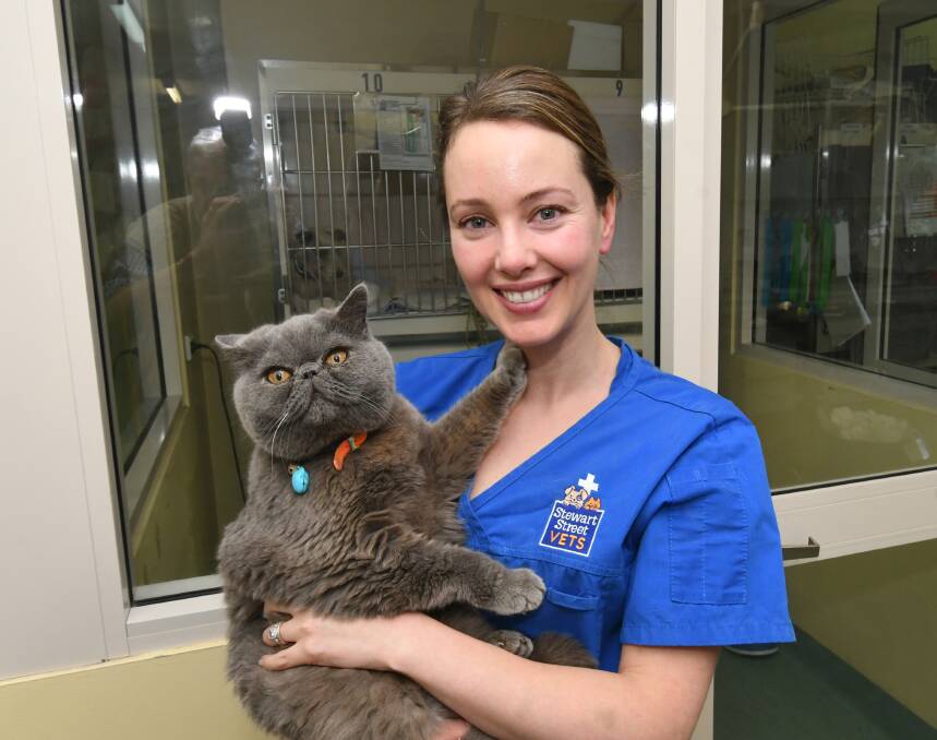 PET EXPERT: Stewart Street Veterinary Hospital's Dr Jasmin Hunter with the clinic cat, Buttons. Photo: CHRIS SEABROOK 121019cvets1