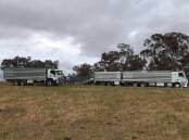 Alan Markwick and Kevin Keogh were busy loading cows and calves for the November 24 special sale. Picture supplied