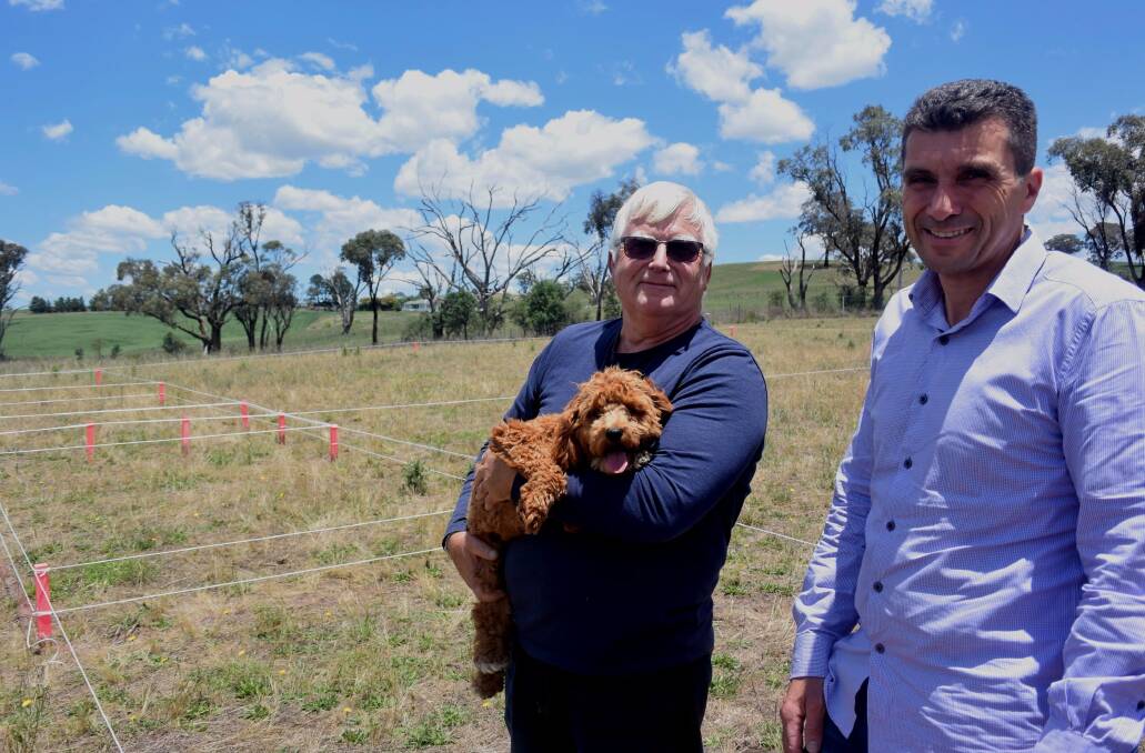 APPLICANT: John Grima (right) with Rockley Valley Park dog breeding manager Peter Nobbs and dog Milo at the proposed site, where they've staked out the dimensions for the facility. Photo: RACHEL CHAMBERLAIN 120717rcdog1