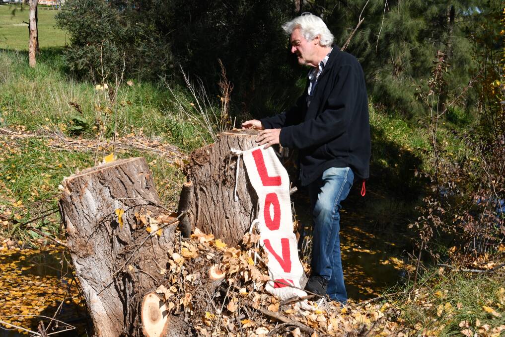 NOT HAPPY: Councillor John Fry in Jacques Park last month with one of the poplars that has been cut down. 