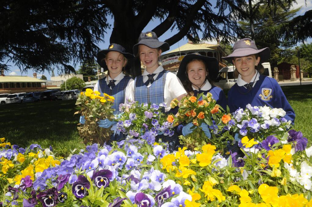 A GOOD BUNCH: The Scots School students Sarah Knox, Hannah Hilliard, Hannah Manhood and Oliviah Grimshaw in Kings Parade on Tuesday with flowers they'd picked. Photos: CHRIS SEABROOK 103117cflowrs2