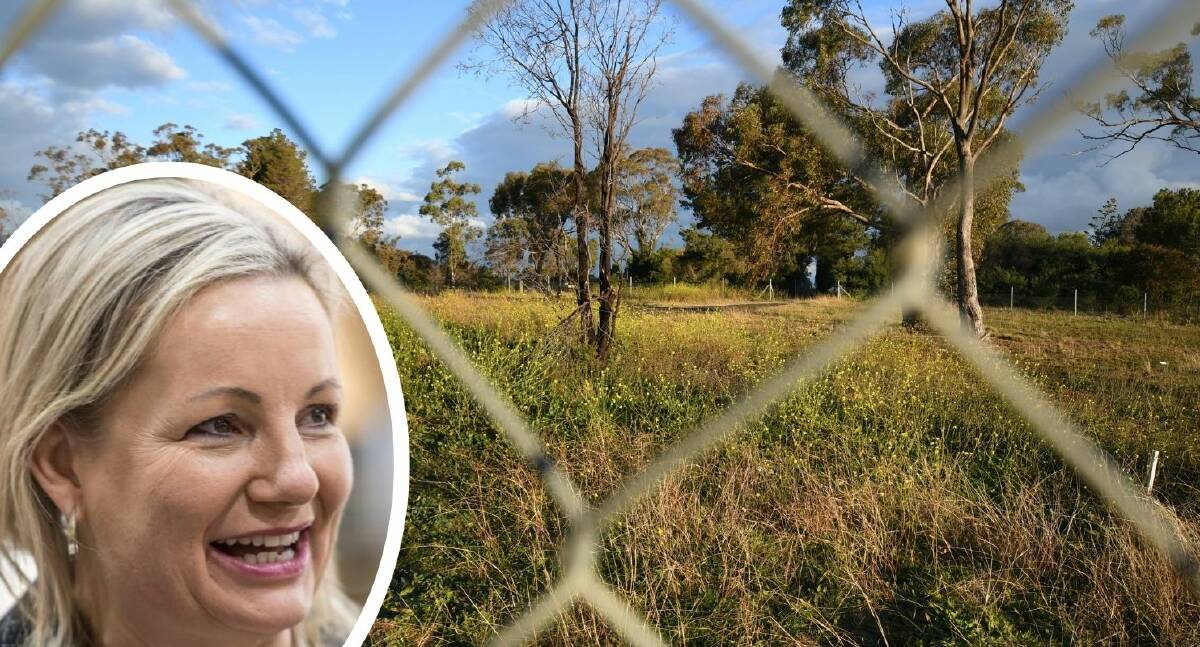 AWAITING NEWS: Environment Minister Sussan Ley is expected to make a determination on a section 10 application for an area on Mount Panorama before May 4, 2021. 