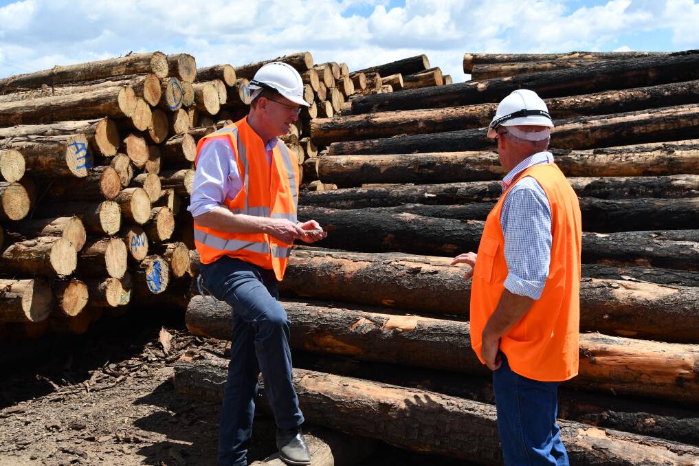 Member for Calare Andrew Gee at the Allied Timber Products (ATP) sawmill, Bathurst, with AAM Investment Group CEO Tim Gallagher.