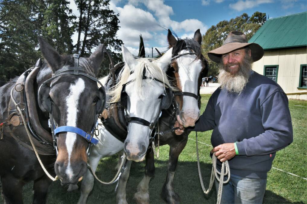 HORSEPOWER: Darren Gavin, from Caloola, with draught horses Raisin, Gracie and Barney, who were used in demonstrations at the Heritage Trades Trail. Photo: CHRIS SEABROOK 041121cheritage