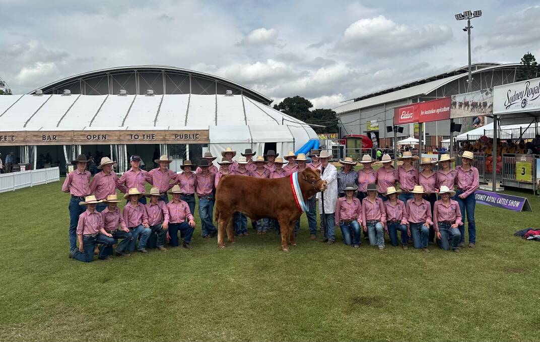 Scots All Saints College cattle team members with the Grand Champion Steer. Picture supplied 